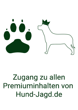 Hund & Jagd Heft-Abo